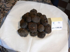 truffes en Istrie