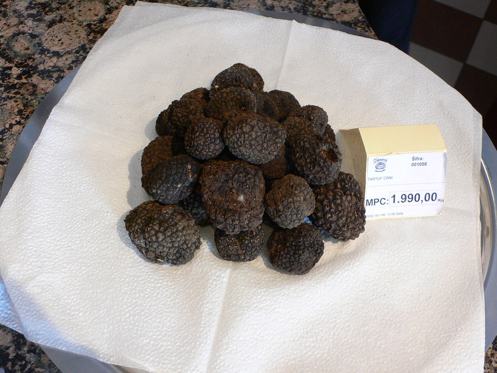 truffes en Istrie