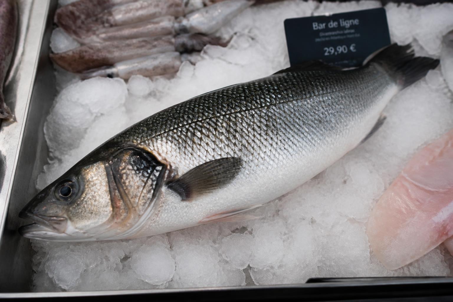 découvrez une recette simple et savoureuse de black bass à la poêle, parfaite pour une cuisson rapide et un délicieux repas maison.