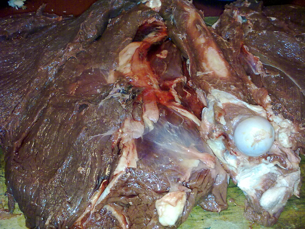saveur du grand nord 